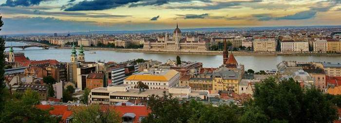 Budapest darázsirtás